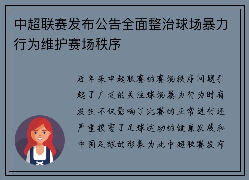 中超联赛发布公告全面整治球场暴力行为维护赛场秩序